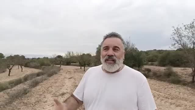 Canarias socialista y el dinero mágico