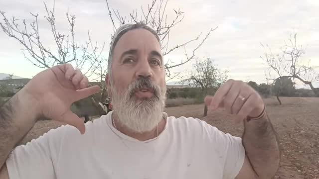 La corrupción de la pp y la realidad política española