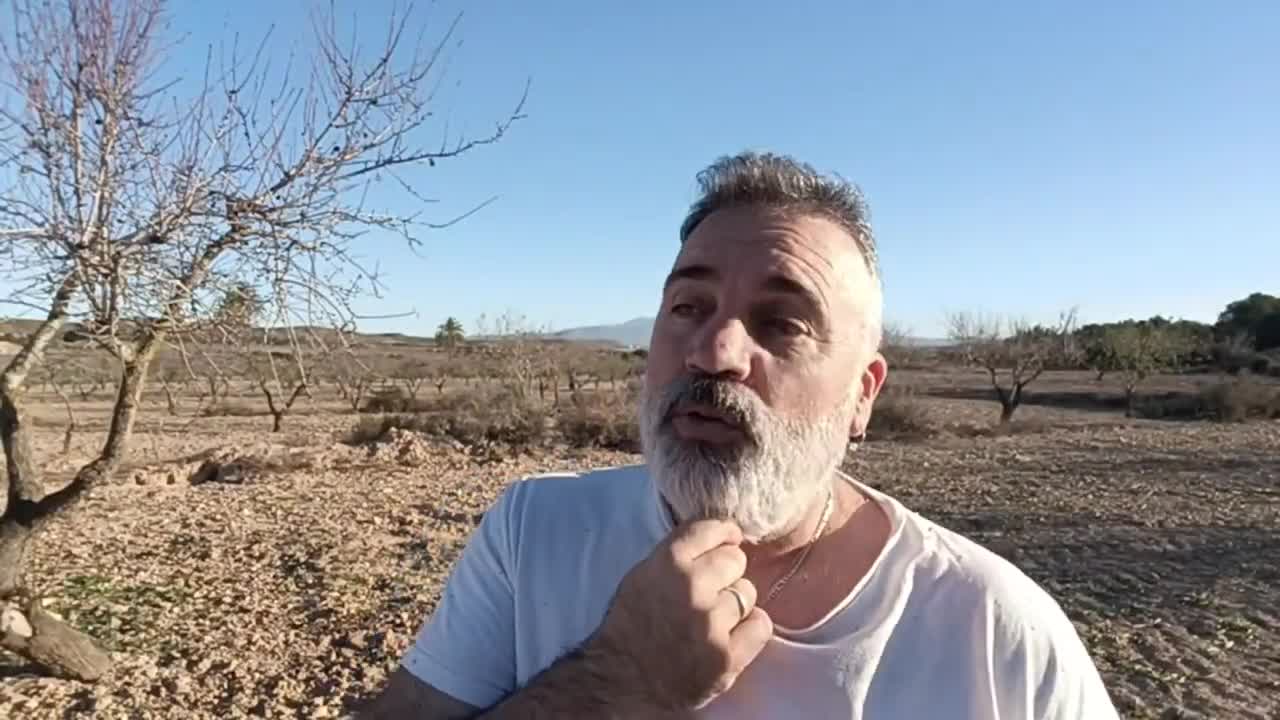 Pedro Valijas y el gobierno de la HISTORIA