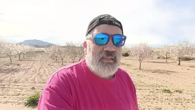 ¿ Vagancia, ignorancia o malicia ?