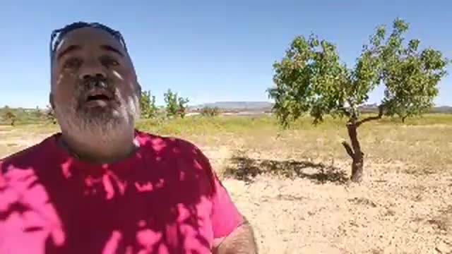 El relato y no el dato