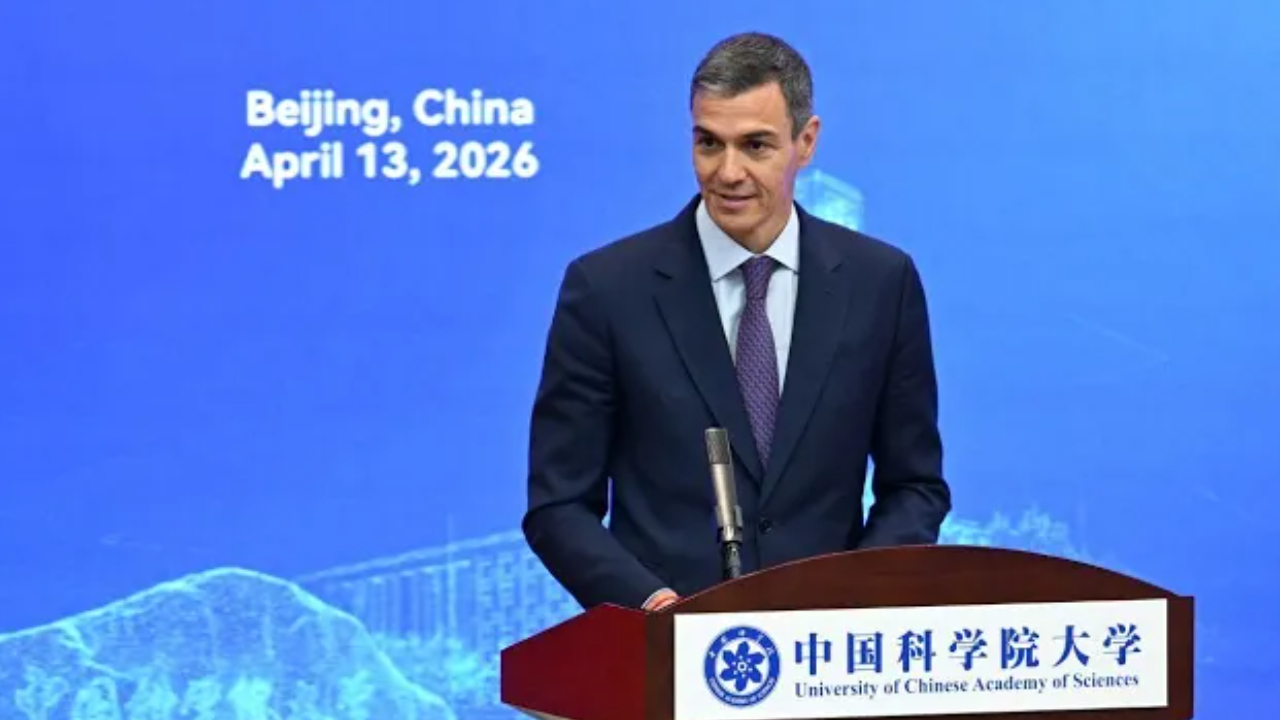 Los análisis de los expertos en autos